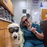 Dog Training in Jackson, SC | Top Priority K9 Training 12 Dante with his handler in a Google review photo